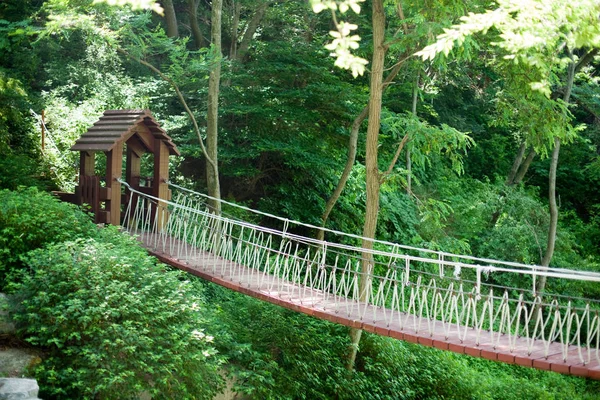 Vista Panorâmica Arquitetura Estrutura Ponte — Fotografia de Stock