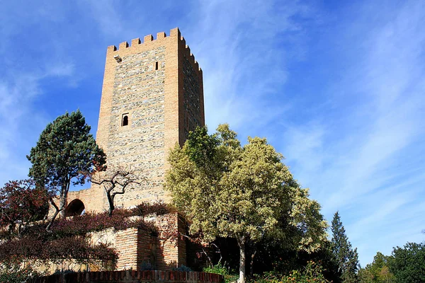 Büyüleyici Kale Inşaatı Manzarası — Stok fotoğraf