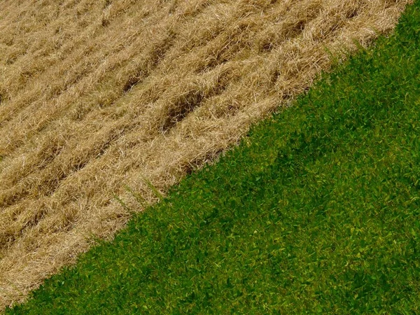 Vista Panoramica Dell Agricoltura Campagna — Foto Stock