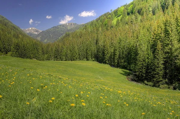 Fjälläng Nocken — Stockfoto