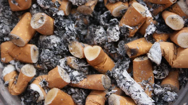 Zigarettenstummel Und Zigaretten — Stockfoto