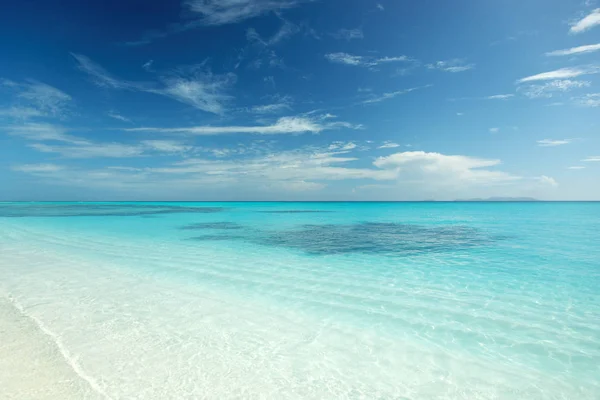 Playa Solitaria Ensueño Nueva Guinea Papúa — Foto de Stock