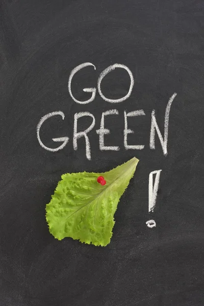 Groen Concept Schoolbord — Stockfoto