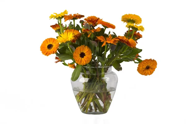 Orangefarbene Blüten Einer Vase Wasser Auf Weiß — Stockfoto