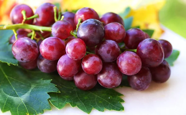 Uvas Vermelhas Maduras Com Leves — Fotografia de Stock