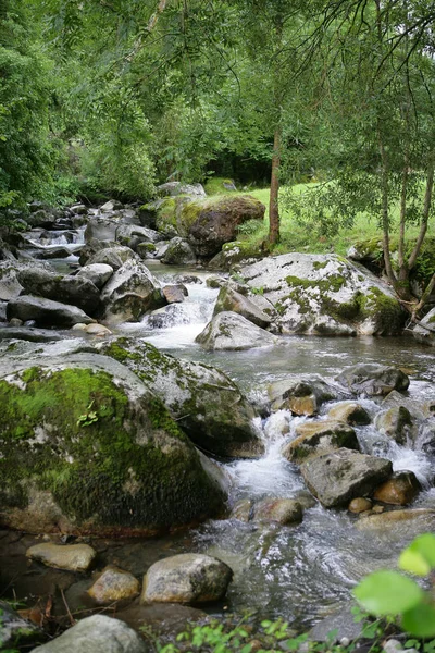 Prachtig Natuurlandschap Achtergrond — Stockfoto