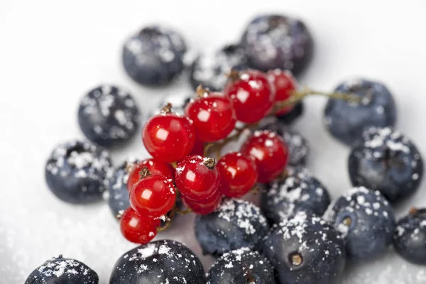 Blueberries Red Currants Powdered Sugar White Background — Stock Photo, Image