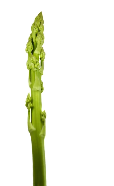 Sayuran Makanan Asparagus Organik — Stok Foto