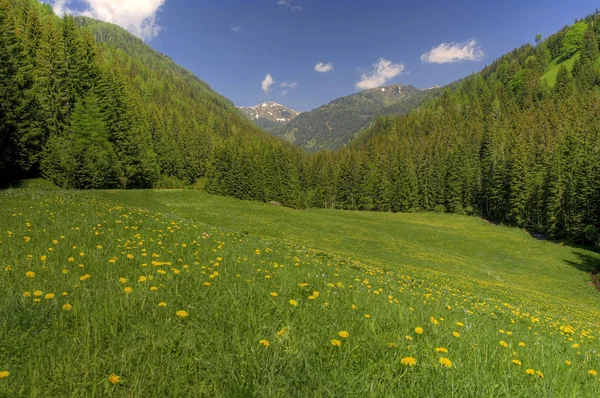 Primavera Nas Montanhas — Fotografia de Stock