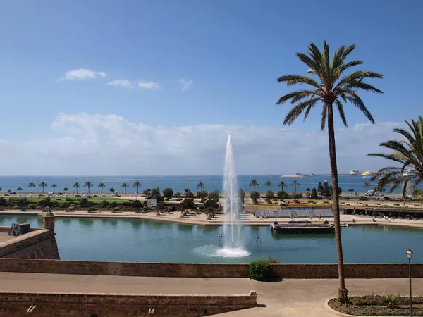 Palma Med Utsikt Över Havet — Stockfoto