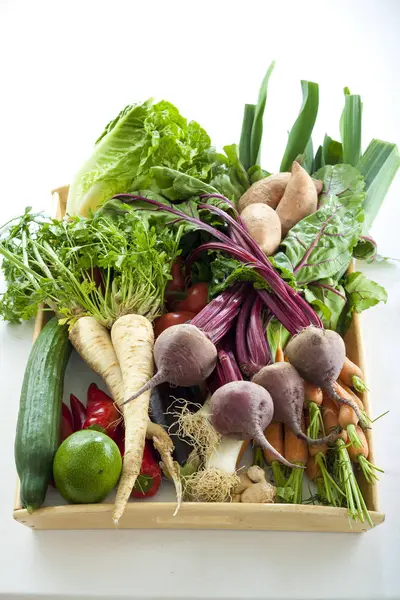 Здоровые Органические Продукты Питания Свежие Овощи — стоковое фото