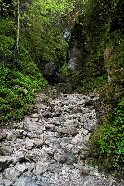 Garganta Cracóvia Nas Montanhas Tatra — Fotografia de Stock