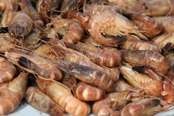 Camarão Fresco Mercado — Fotografia de Stock