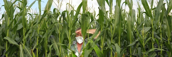 Mouthguard Corn Field — Stock Photo, Image
