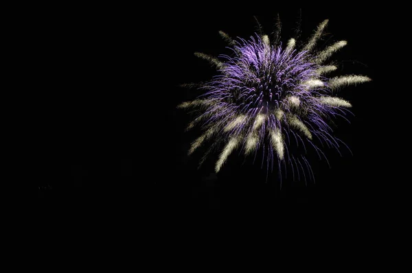 Sparkly Colorful Fireworks Sky — Stock Photo, Image