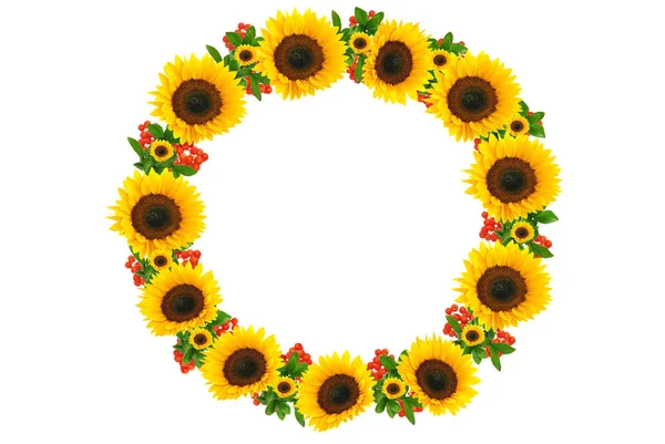 Sonnenblume Nahaufnahme — Stockfoto