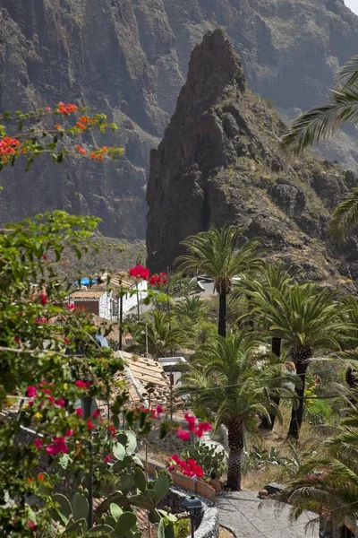 Tenerife Karnavalı Santa Cruz Spains Kanarya Adaları Nın Büyüğüdür — Stok fotoğraf