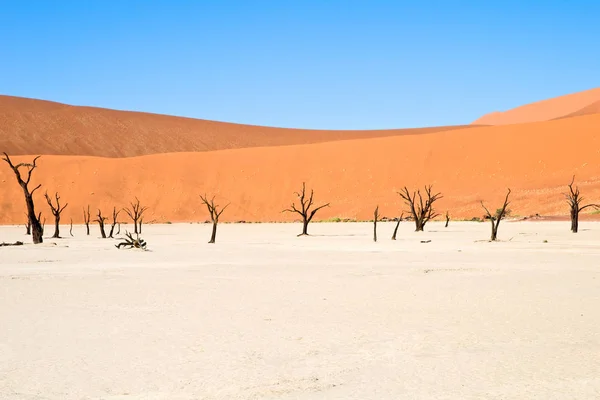 在Namib Naukluft国家公园里死去的Vlei — 图库照片