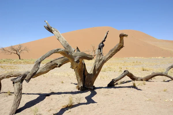 Avontuur Oost Afrika — Stockfoto