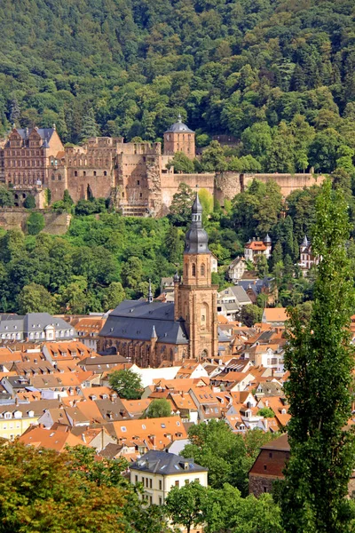 Chiesa Dello Spirito Santo Chiesa Più Importante Più Grande Heidelberg — Foto Stock