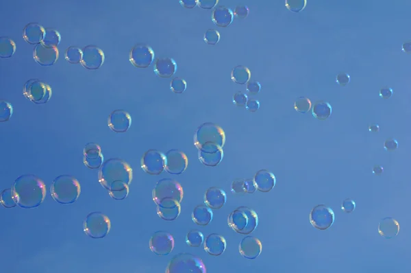 Burbuja Burbujas Jabón Fondo Azul — Foto de Stock
