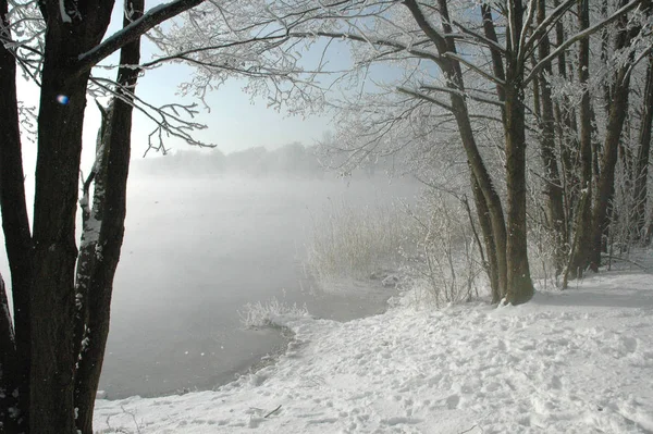 Vista Uma Cena Inverno — Fotografia de Stock