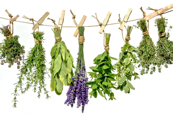 Mazzo Erbe Fresche Lavanda Sfondo Bianco — Foto Stock