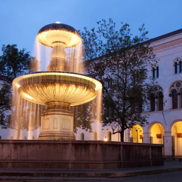 Münih Üniversitesi Nin Önündeki Çeşme — Stok fotoğraf