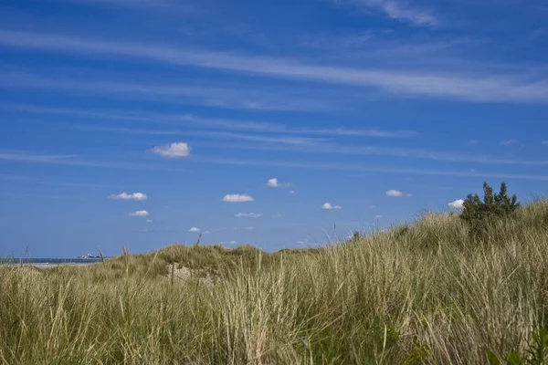 Scenic View Dunes Selective Focus — Stock Photo, Image