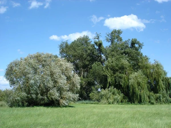 Prachtig Uitzicht Natuur — Stockfoto