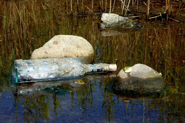 Small Pond Trash Forest — Stock Photo, Image