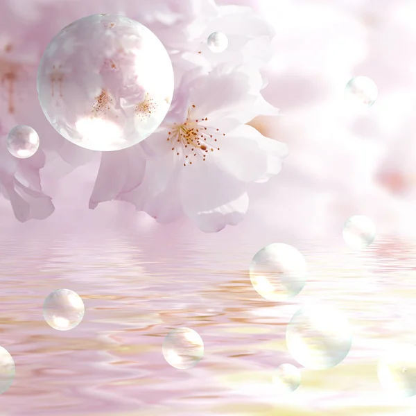 Kwiat Wiśni Wiosennym Tle — Zdjęcie stockowe