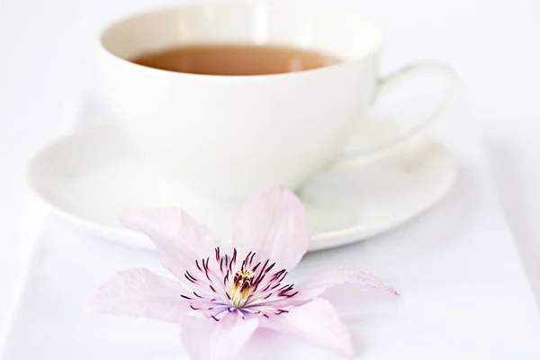 Tasse Tee Mit Blumen Auf Weißem Hintergrund — Stockfoto