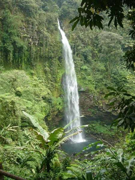Waterval Jungle Van Indonesië — Stockfoto