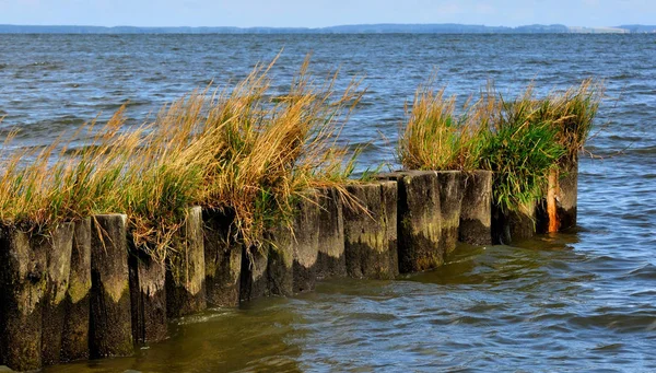 Över Szczecin Lagunen — Stockfoto