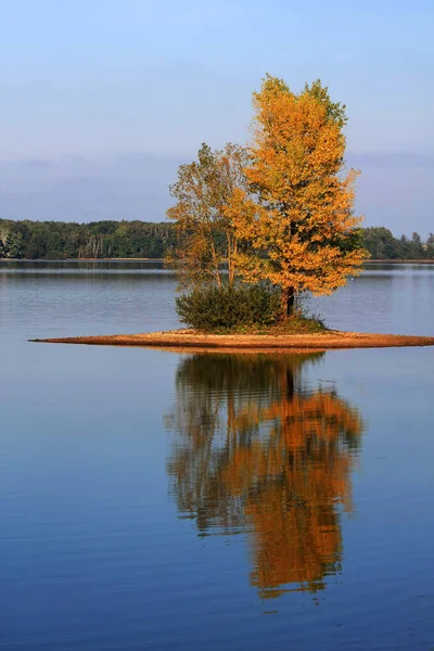 Alleen Het Meer — Stockfoto