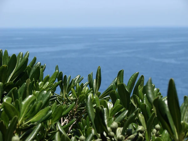 Vistas Del Mediterráneo — Foto de Stock