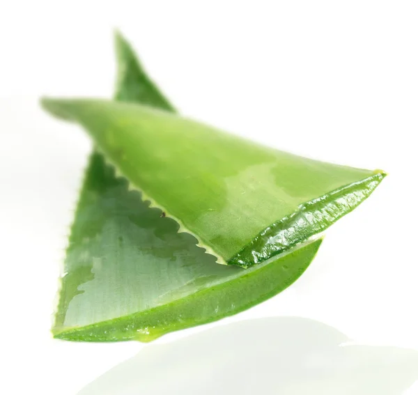 Aloe Vera Levelek Vágott Közelről — Stock Fotó