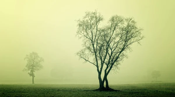 Pittoreska Natur Och Kultur Bayern — Stockfoto