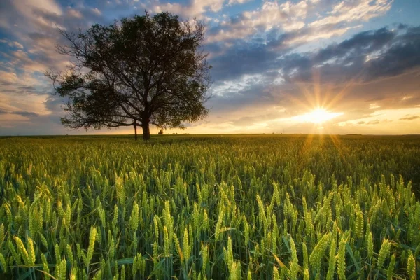 Malerischer Blick Auf Die Landschaft — Stockfoto