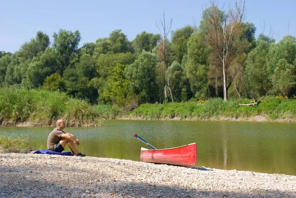 Parc Naturel Danube Auen — Photo