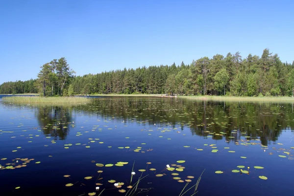 Sommaren Sjön Finland — Stockfoto
