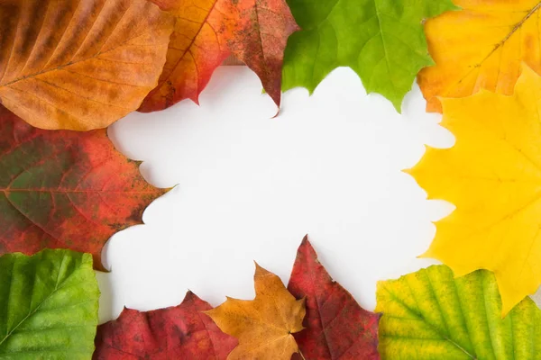 Herbst Blätter Hintergrund Herbst Saison — Stockfoto