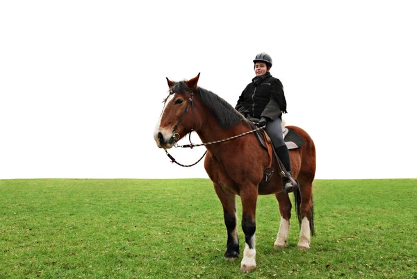 Girl Horse — Stock Photo, Image