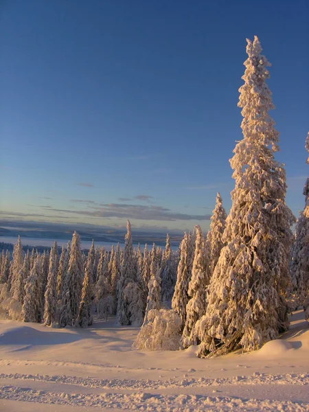 Sunset Arctic Circle — Stock Photo, Image