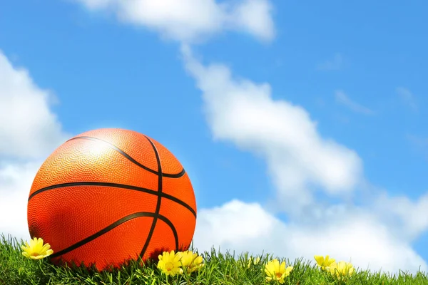 Basketbal Trávě Proti Modré Obloze — Stock fotografie