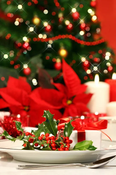 Рождественская Пуансеттия Растение Флора — стоковое фото