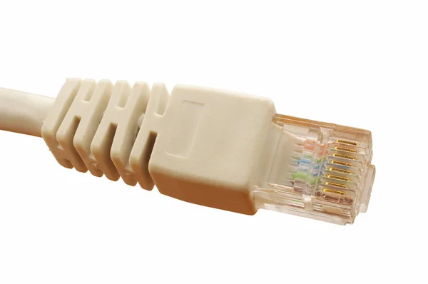 Câble Ethernet Plug Close — Photo