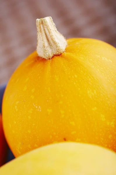 Calabazas Verduras Calabaza Alimentos Vegetales — Foto de Stock