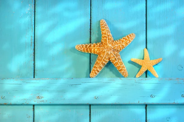 Starfish Uma Velha Porta Obturador Rústico — Fotografia de Stock